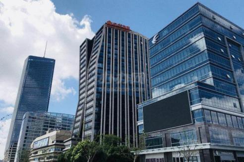 11号线徐汇滨江 绿地汇中心 采光好朝南 面积246平